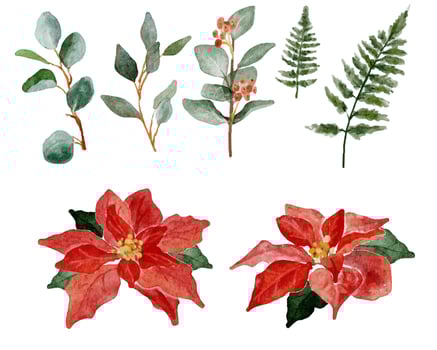 watercolor christmas poinsettia flower bouquet elements collection vector