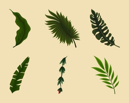 icons leaf jungle vector