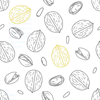 Seamless pattern with hand drawn nuts vector