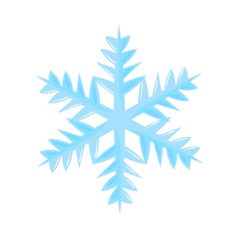 snowflake winter icon vector