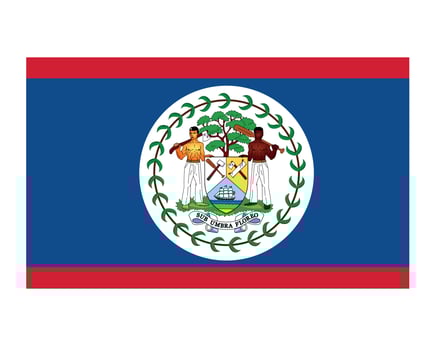 Belize Flag National Asia Emblem Symbol Icon Vector Illustration Abstract Design Element