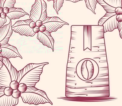 pack of coffee and leaves vector
