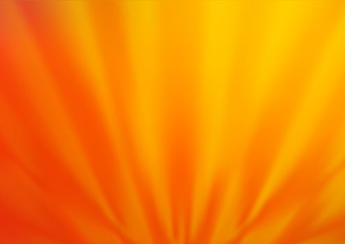 Light Yellow, Orange vector glossy abstract background.