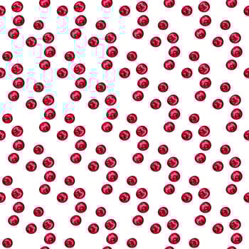 Cranberry on the white vector seamless pattern