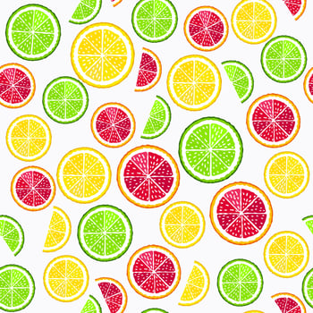 Lime and orange slices on the white seamless pattern vector