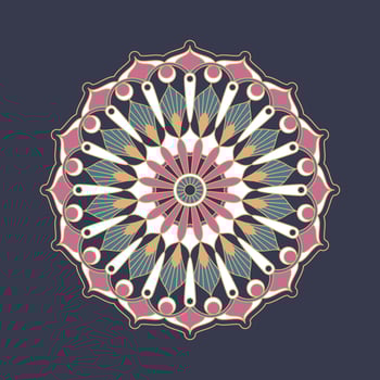 Mandala ornament vector. A symmetrical geometry color flower. Ethnic draw vector