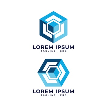 3d isometric box logo design hexagon shape vector