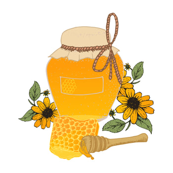 Honey in jar and honeycombs sketches. vector