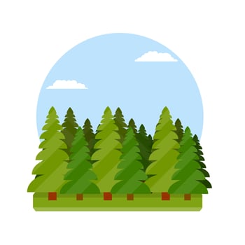 Summer season. Wood and nature. Grass and earth. vector