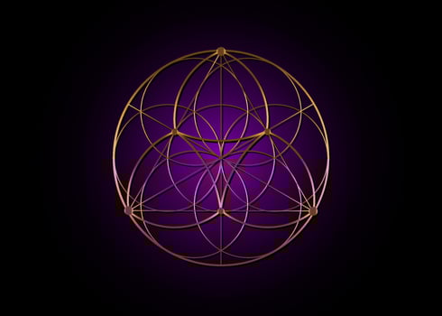 Seed Flower of life lotus icon, yantra mandala sacred geometry, golden symbol of harmony and balance. Purple color Mystical talisman, gold lines vector isolated on black background