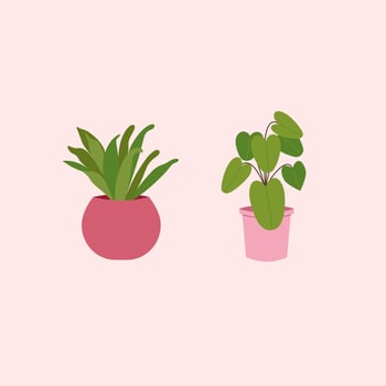 Houseplant vector element