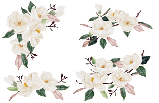 watercolor white magnolia flower and leaf bouquet clipart collection isolated on white background vector
