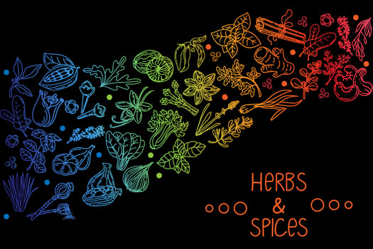 Herbs and spices, hand-drawn doodle-style elements. Layout of packaging on a black background. Rainbow of aromatic plants. Culinary. Postcard design. Sketch style. vector