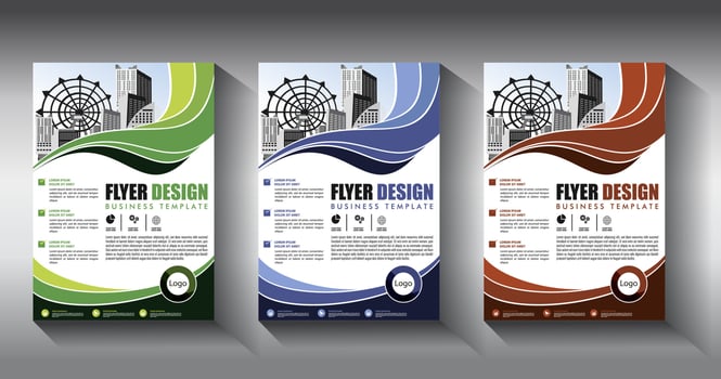 flyer business template brochure layout annual report vector