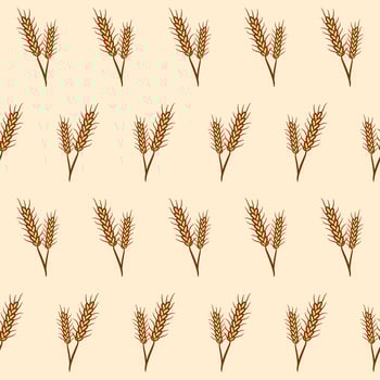 Wheat seamless pattern background hand drawn vector