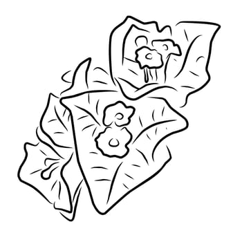 Line style flower illustration vector