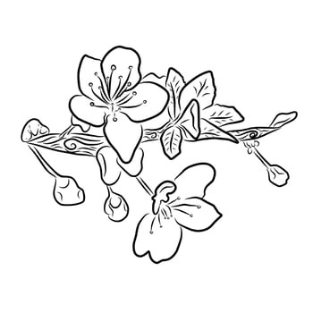 Line style flower illustration vector