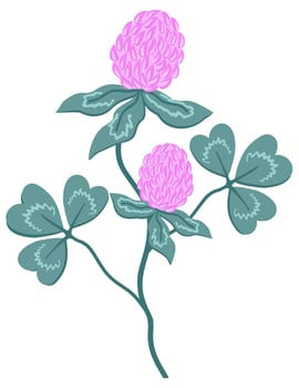 Vector isolated illustration of red clover on a stem with leaves.