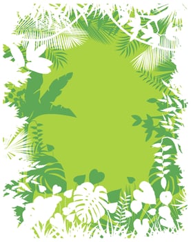 Leaves background of tropical plants .Vector vector