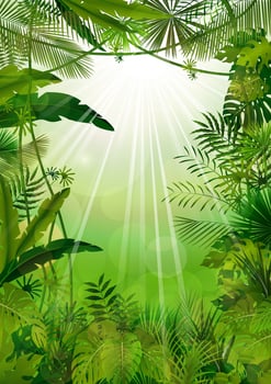 Exotic tropical background .Vector illustration vector