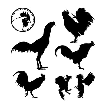 Rooster Chicken setInspiration Logo Silhouette, Rooster Crow, Fighting Rooster, Chicken Head vector