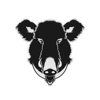 Boar Pig Swine Hog Face Head Vector Design Inspiration