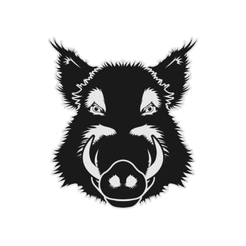 Boar Pig Swine Hog Face Head Vector Design Inspiration