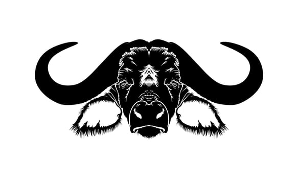 Long horn buffalo head vector, Buffalo head Logo Design Inspirasi vector