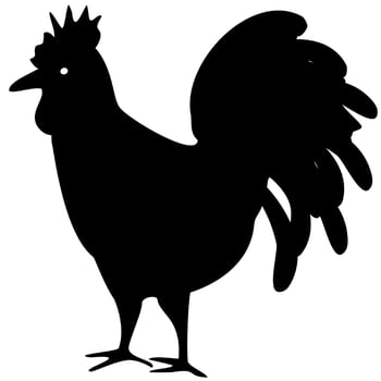 Black rooster icon in transparent background.. vector