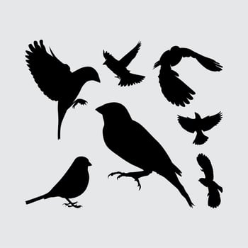 sparrow bird eagle albatros silhouette set logo icon vector design inspiration