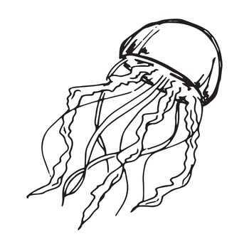 Vector hand drawn jellyfish illustration. Cute medusa sketch isolated on white background. For print, web, greeting card, design, decor.