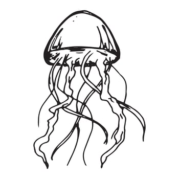 Vector hand drawn jellyfish illustration. Cute medusa sketch isolated on white background. For print, web, greeting card, design, decor.