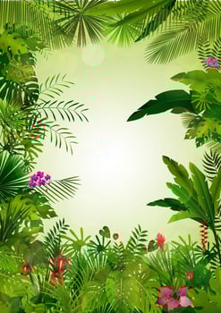 Tropical background beautiful vector