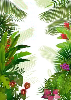 Exotic tropical background.vector vector