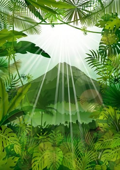 Mountains landscape of tropical background with sunrays.vector vector