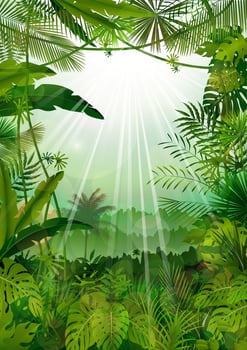 Forest landscape of tropical background with sunrays vector