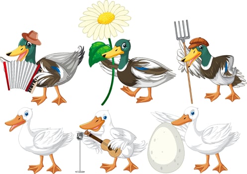 Set of different poses of ducks cartoon characters vector