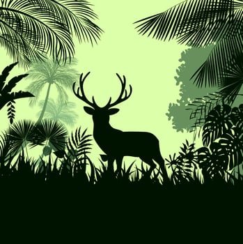 Forest background with wild deer of trees.vector vector