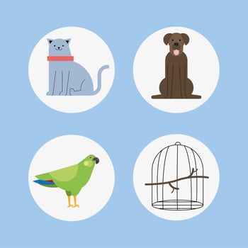 three veterinary service animals vector