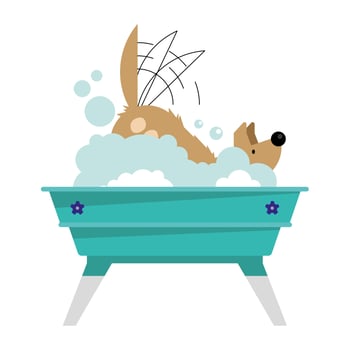 dog pet in bathtub vector