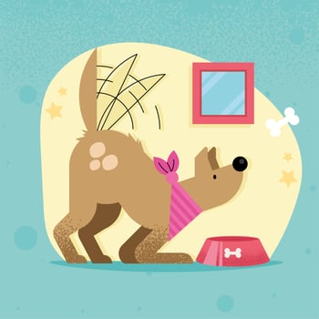 dog pet eating vector