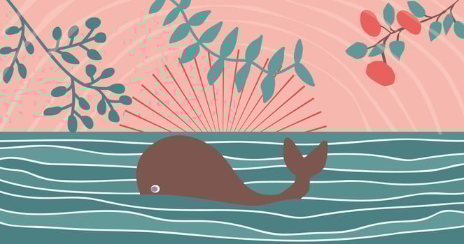 Whale in the ocean in sunrise boho style illustration. vector