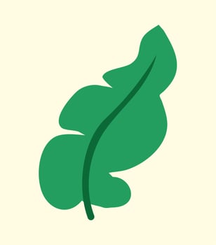 Green banana leaf vector