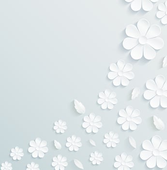 Flowers pattern daisy with leaves on gray background. vector