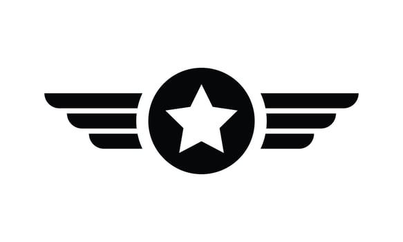 Vintage Emblem Badge Millitary Aviation Logo Vector Design illustration