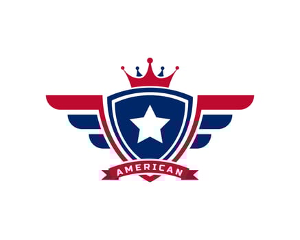 Emblem American Veteran Flag Emblem Wings with Shield Patriotic Logo Design Template Element vector