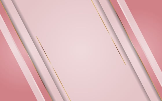 Luxury pink gradient background combination with line gold vector