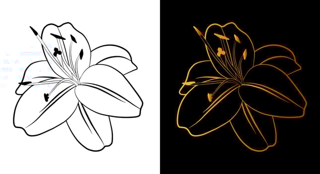 Lily flower outline icon, simple doodle sketch line art style, black and gold floral botany set. Beauty elegant logo design. Graphic isolated symbol drawing. Flat shape, wedding print tattoo card. vector