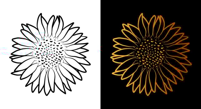 Sunflower flower outline icon, simple doodle sketch line art style, black and gold floral botany set. Beauty elegant logo design. Graphic isolated symbol drawing. Flat shape, wedding tattoo card. vector