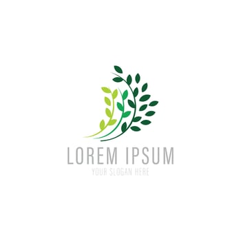 Tree vector icon. Nature leaf vector illustration logo design.